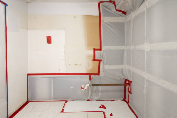 Best Mold Damage Restoration  in USA